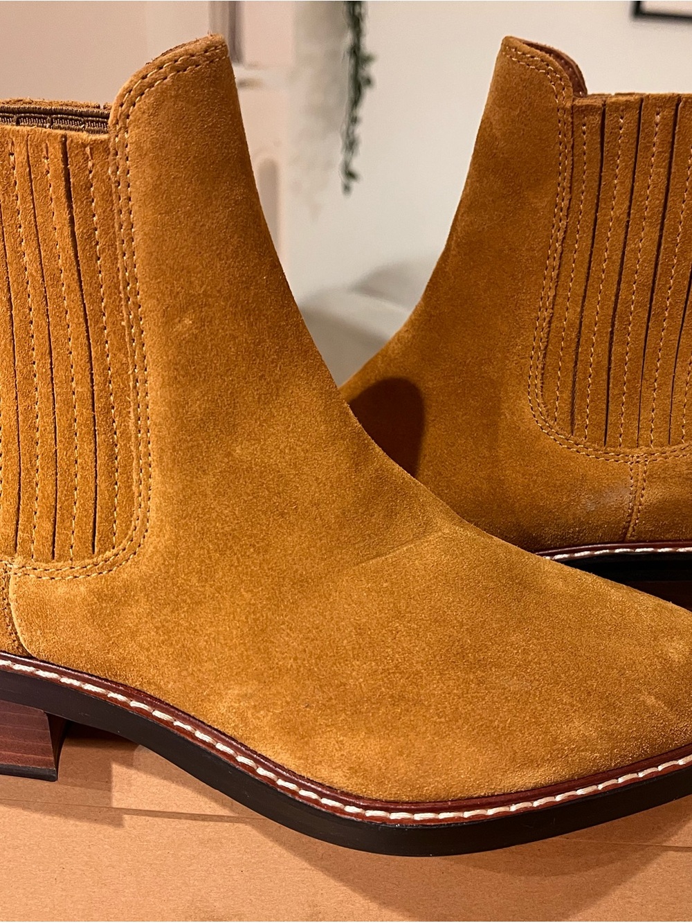 Women’s Suede Chelsea Boot in Camel